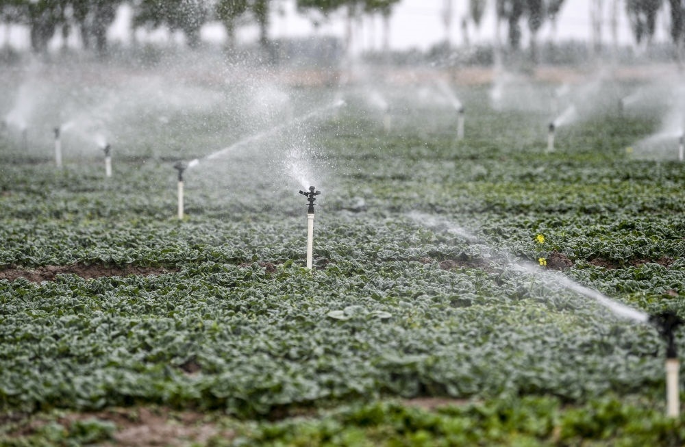 2023年5月25日，在寧夏銀川市永寧縣望洪鎮(zhèn)宋澄村冷涼蔬菜種植基地，小型噴灌節(jié)水設(shè)備在進(jìn)行噴灌作業(yè)。新華社記者 馮開華 攝