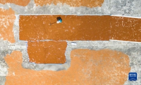 9月16日，農(nóng)民在貴州省安順市西秀區(qū)大西橋鎮(zhèn)吉昌村晾曬高粱（無人機照片）。