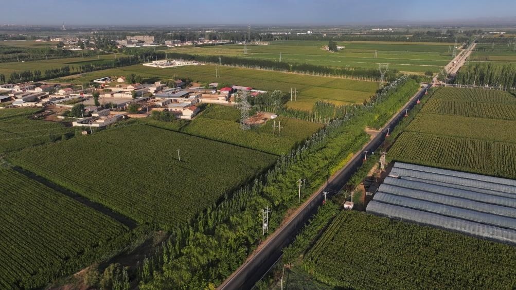 東興村周邊建起防護(hù)林網(wǎng)（無人機(jī)照片，2023年9月12日攝）。新華社記者李云平 攝