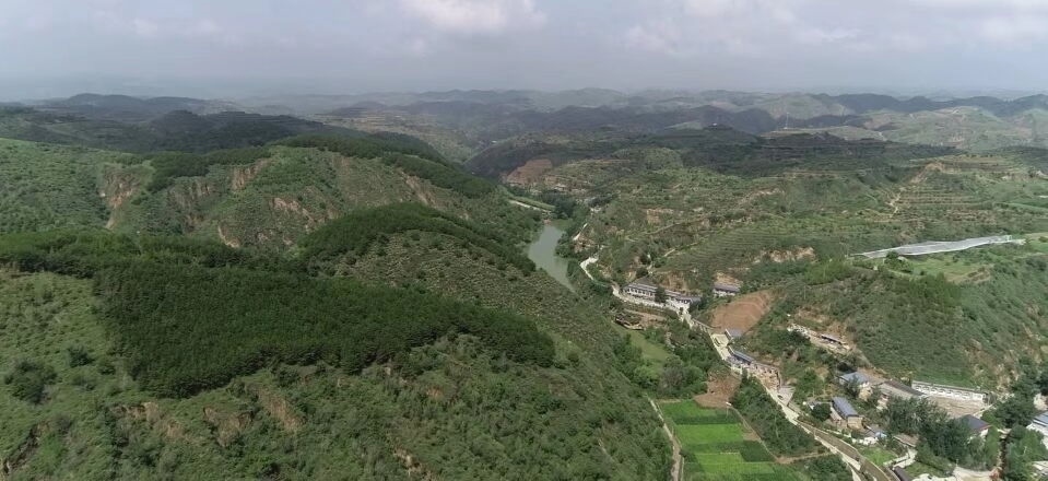 黃土溝壑中的高西溝村滿眼綠色（無人機(jī)照片，2023年7月26日）。新華社記者陳昌奇 攝