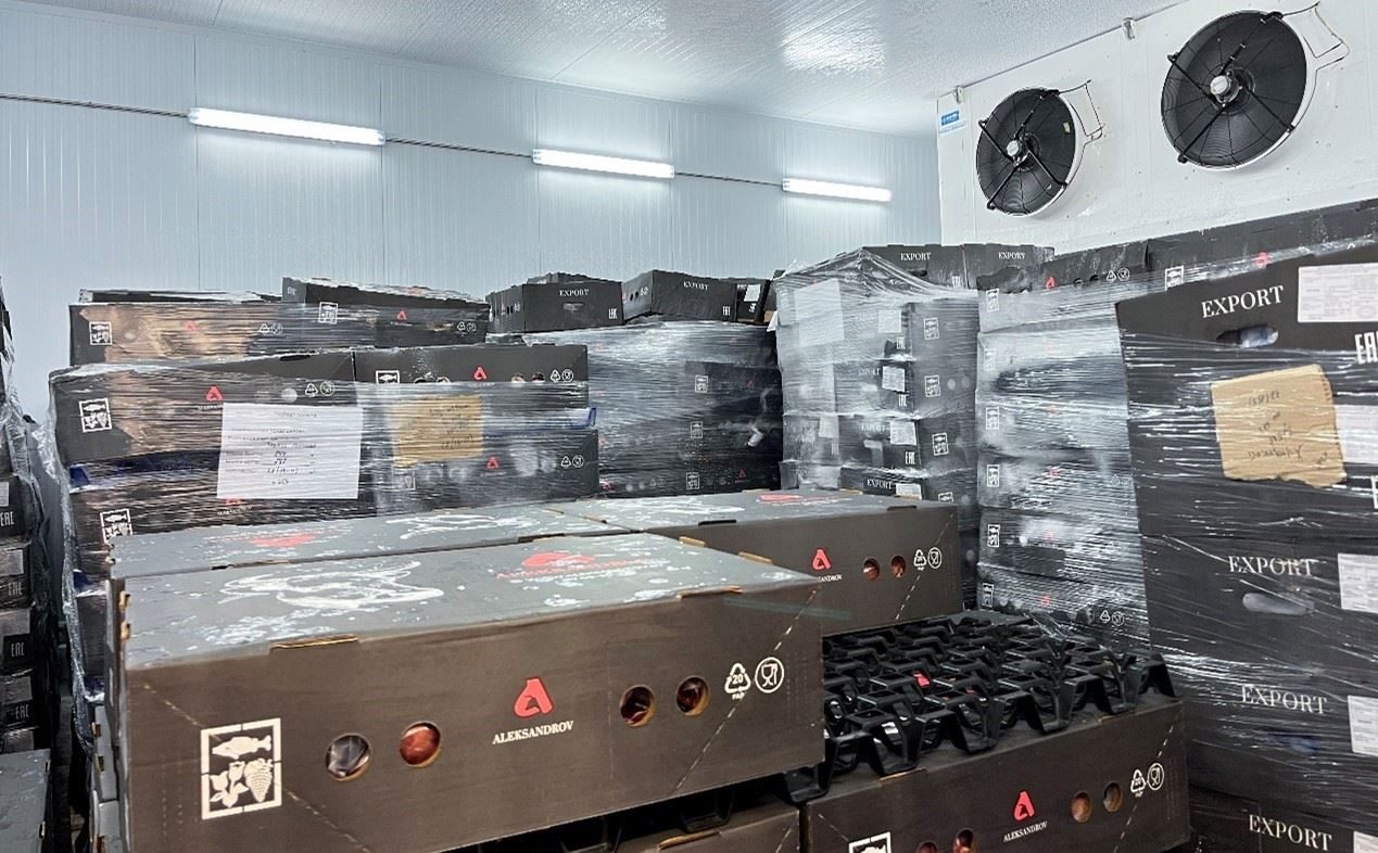 恒溫冷庫中，包裝好的牛肉等待發(fā)往中國。人民網(wǎng)記者 朱虹攝