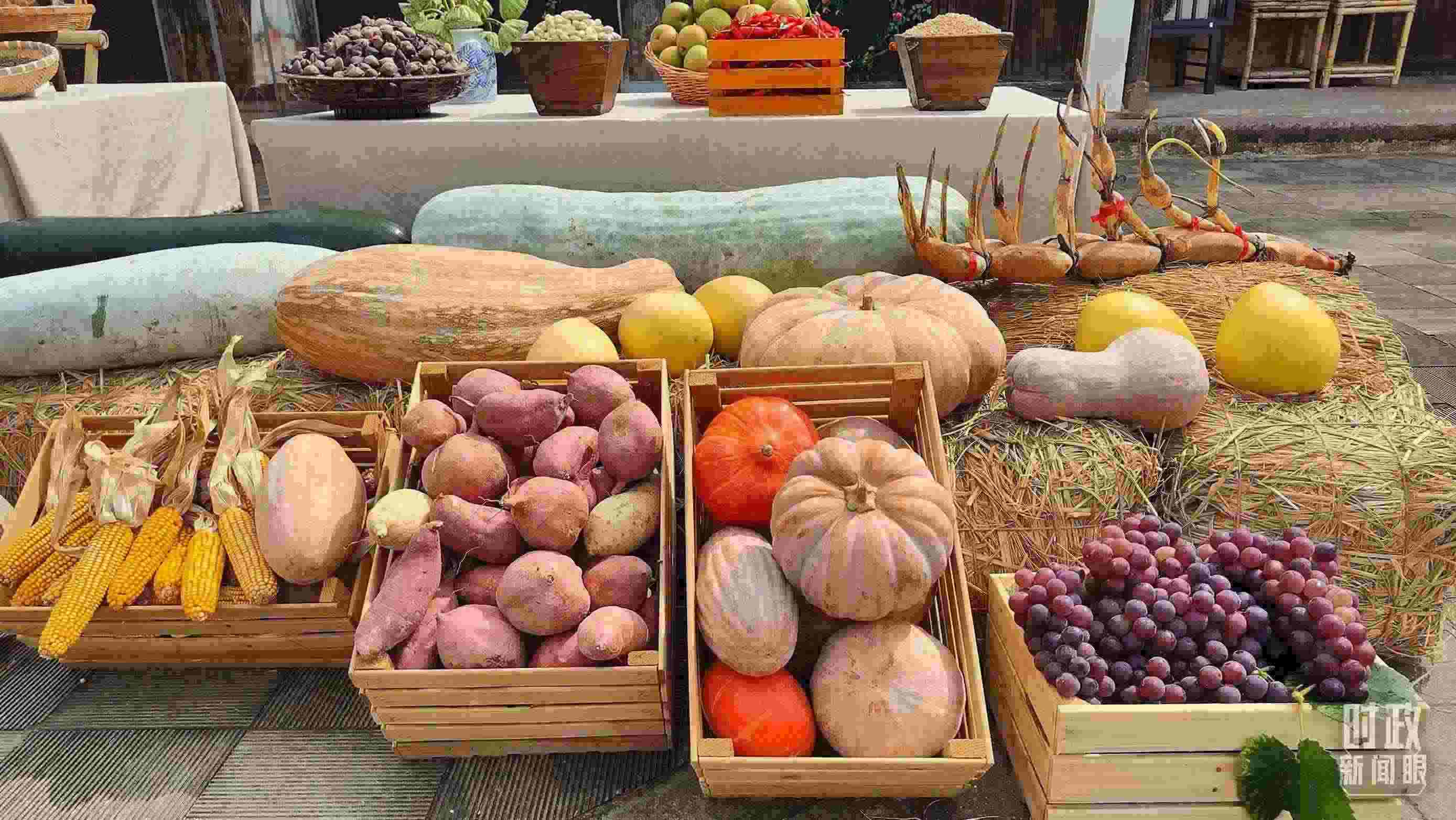 △村廣場(chǎng)“共富市集”，擺放著種類豐富的特色農(nóng)產(chǎn)品。（總臺(tái)央視記者楊立峰拍攝）