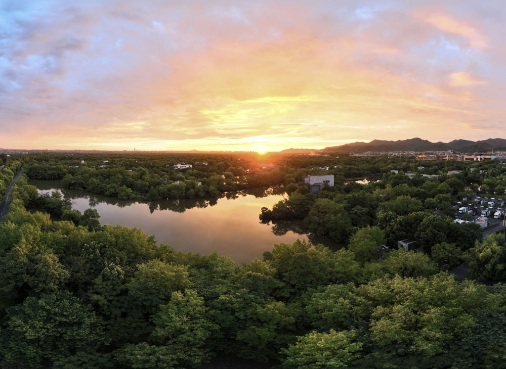 杭州西溪濕地日出景觀。