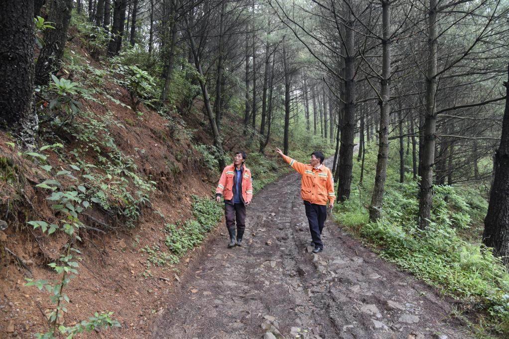 海雀村生態(tài)護(hù)林員馬正安（左）和海雀村林管員王光德（右）在日常巡山護(hù)林。新華社記者 李凡 攝
