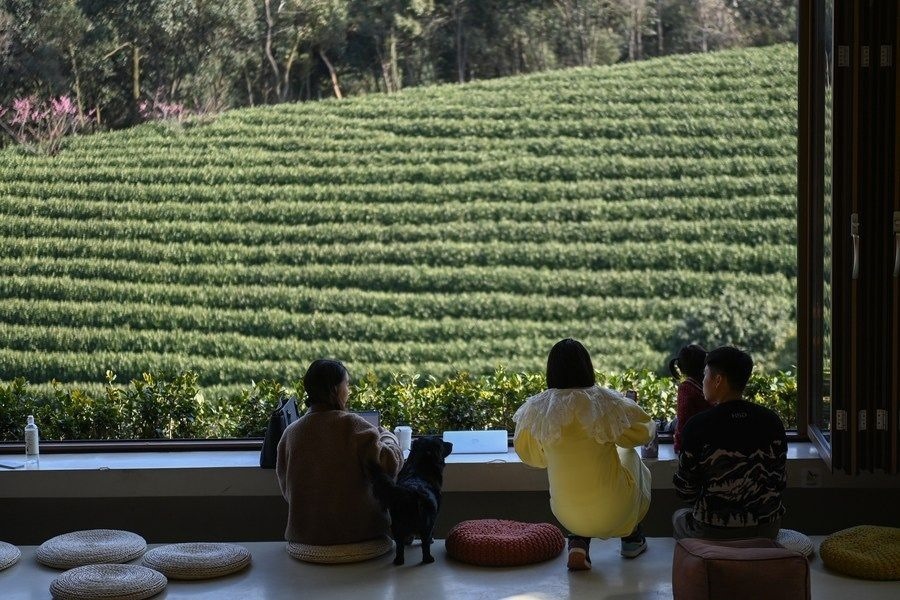游客在浙江省安吉縣黃杜村萬(wàn)畝茶園邊的咖啡館休閑（2023年2月21日攝）。