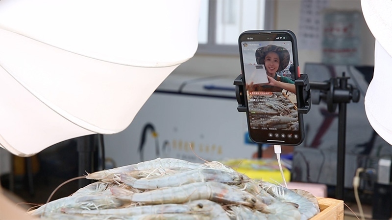 江蘇連云港，村民進(jìn)行直播銷售。范堯攝