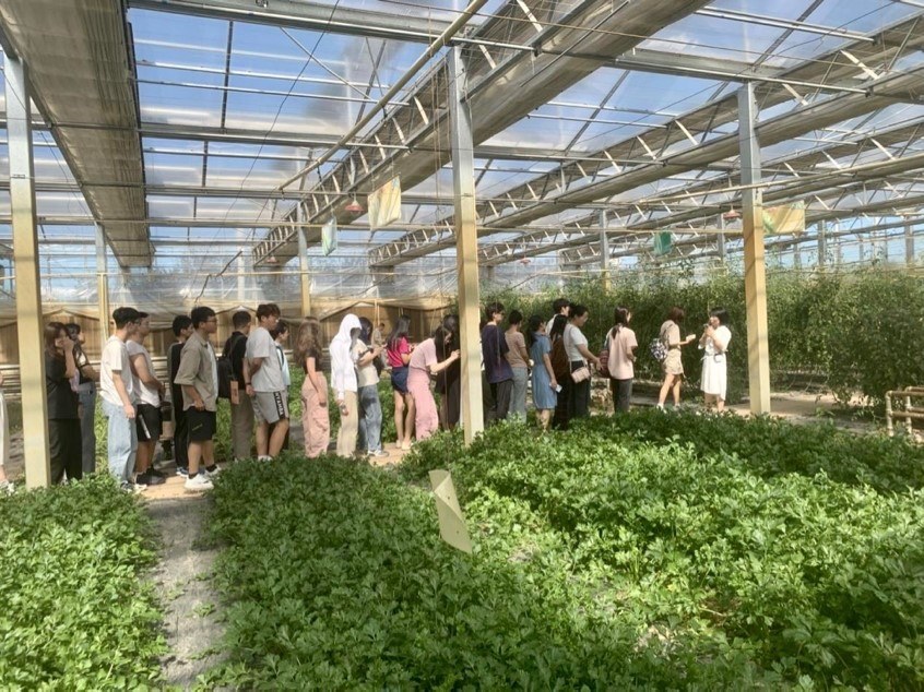 記者團參觀國信現(xiàn)代農(nóng)業(yè)基地 了解現(xiàn)代化溫室建設(shè)及其配套設(shè)施的設(shè)計生產(chǎn)理念 中國農(nóng)業(yè)大學(xué)勾琳萱 攝