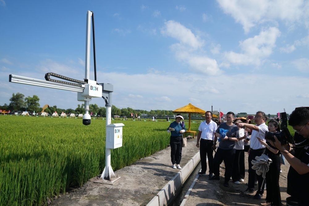 在北大荒集團閆家崗農(nóng)場有限公司農(nóng)業(yè)現(xiàn)代化示范區(qū)，工作人員在介紹利用數(shù)字技術(shù)的葉齡診斷儀（2023年8月10日攝）。新華社記者 王建威 攝