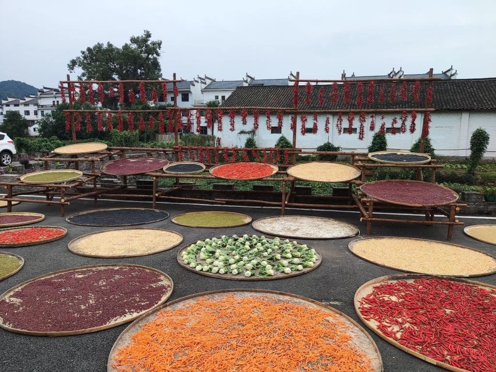 近日，江西省上饒市婺源縣秋口鎮(zhèn)王村村民晾曬的農(nóng)作物。新華社記者 劉佳敏 攝