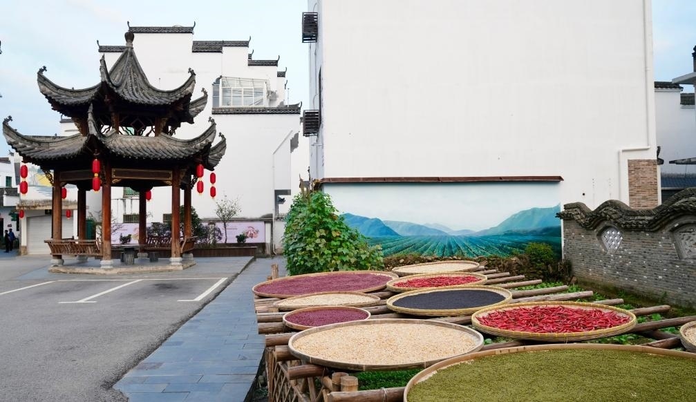 近日拍攝的江西省上饒市婺源縣秋口鎮(zhèn)王村石門自然村曬秋場(chǎng)景。新華社記者 胡晨歡 攝