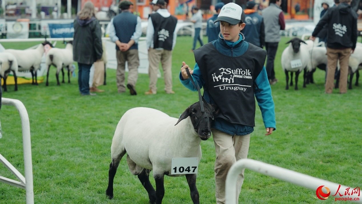 烏拉圭第118屆普拉多牧農(nóng)業(yè)國際博覽會現(xiàn)場。人民網(wǎng)記者 張若涵攝