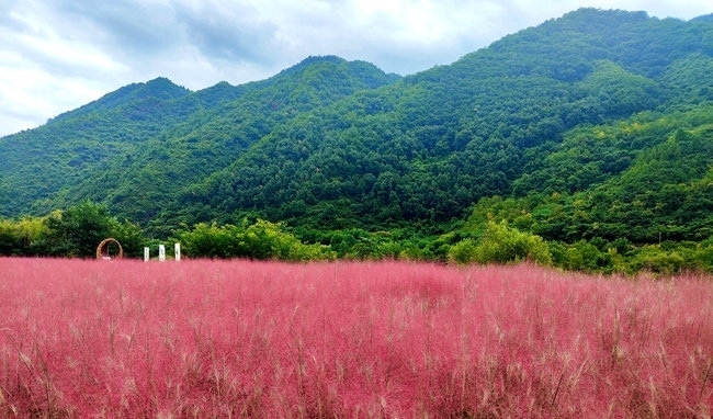 寶成線鳳縣境內(nèi)的路邊。