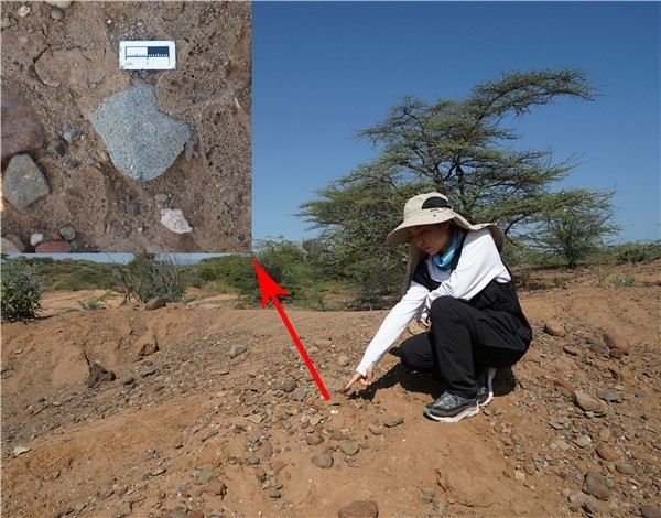 地層中的勒瓦婁哇石片。中肯聯(lián)合考古隊供圖