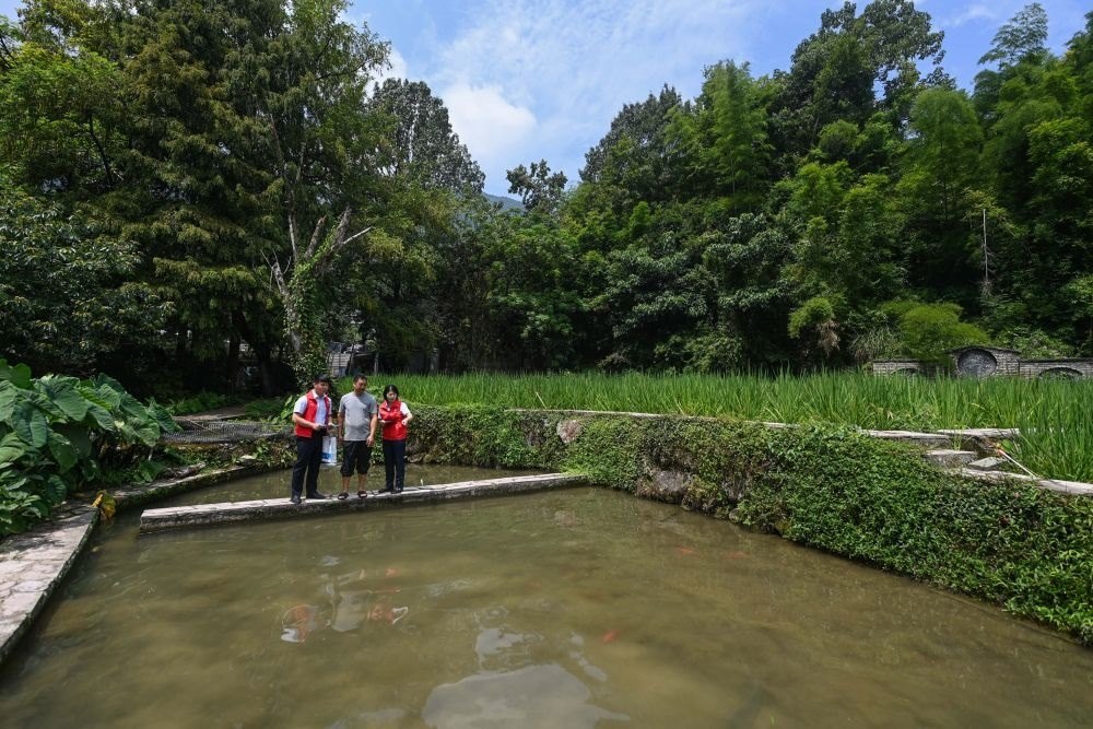 2023年8月17日，浙江省麗水市青田縣方山鄉(xiāng)田魚養(yǎng)殖戶吳勇強(qiáng)（中）在接受青田農(nóng)商銀行“小蜻蜓”服務(wù)隊(duì)志愿者提供的“惠民易貸”上門服務(wù)。近年來，青田縣金融發(fā)展中心聯(lián)合各個(gè)金融機(jī)構(gòu)優(yōu)化配套鄉(xiāng)村振興金融服務(wù)，推出“惠民易貸”“農(nóng)家樂貸”等金融產(chǎn)品，重點(diǎn)支持涉農(nóng)龍頭企業(yè)及特色種養(yǎng)殖產(chǎn)業(yè)。新華社記者 徐昱 攝