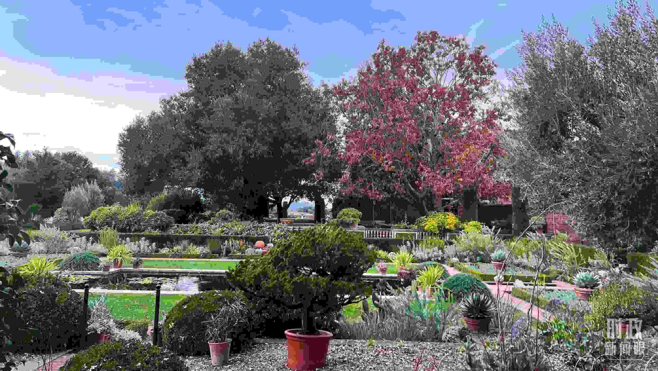 斐洛里莊園被稱作美國20世紀(jì)現(xiàn)存最精美鄉(xiāng)村莊園之一。（總臺央視記者程鋮拍攝）