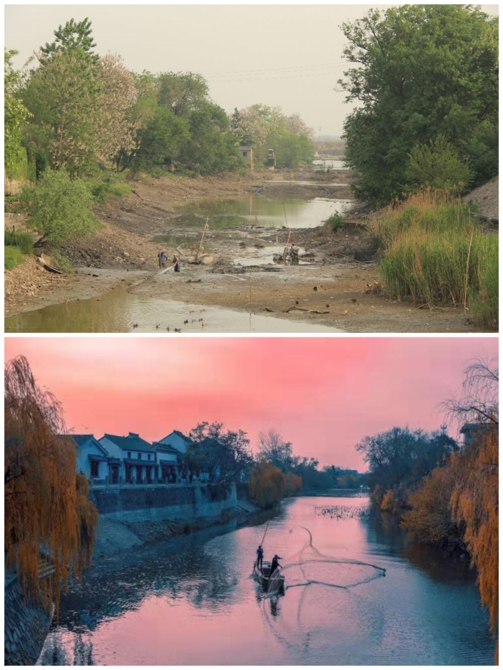 江蘇省揚(yáng)州市江都區(qū)明清運(yùn)河故道整治前后。（上圖：2012年；下圖：2020年）（孫友定 攝）