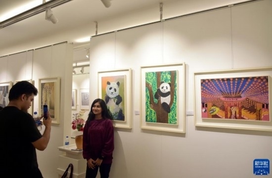 11月22日，在孟加拉國達卡，人們在“國家印象”繪畫展上參觀拍照。新華社發(fā)（薩利姆攝）