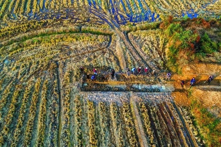 良渚遺址考古發(fā)掘現(xiàn)場。