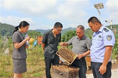  圖②：蒙山法院黃村法庭法官深入蜂蜜合作社，實地了解蜂農(nóng)需求。