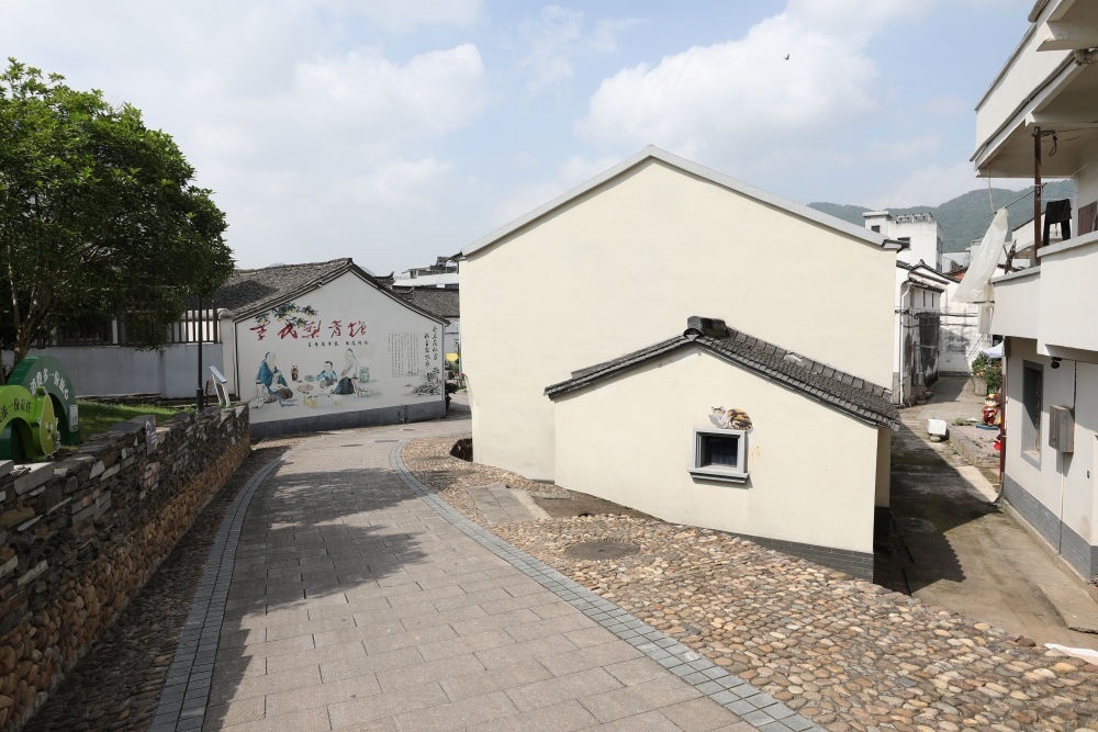 浙江省義烏市李祖村一景（2023年5月23日攝）。新華社記者 杜瀟逸 攝