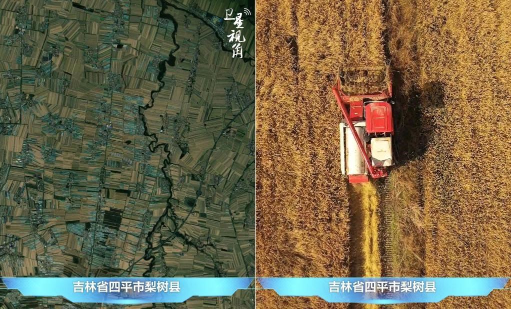 隨著現(xiàn)代化農(nóng)機(jī)普及應(yīng)用，保護(hù)性耕作“梨樹(shù)模式”得以大面積推廣，不僅使黑土地保護(hù)與利用持續(xù)深入，更為糧食作物高產(chǎn)穩(wěn)產(chǎn)助力。