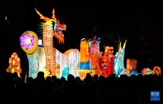 2月11日晚，人們在濟(jì)南市趵突泉公園觀賞花燈。