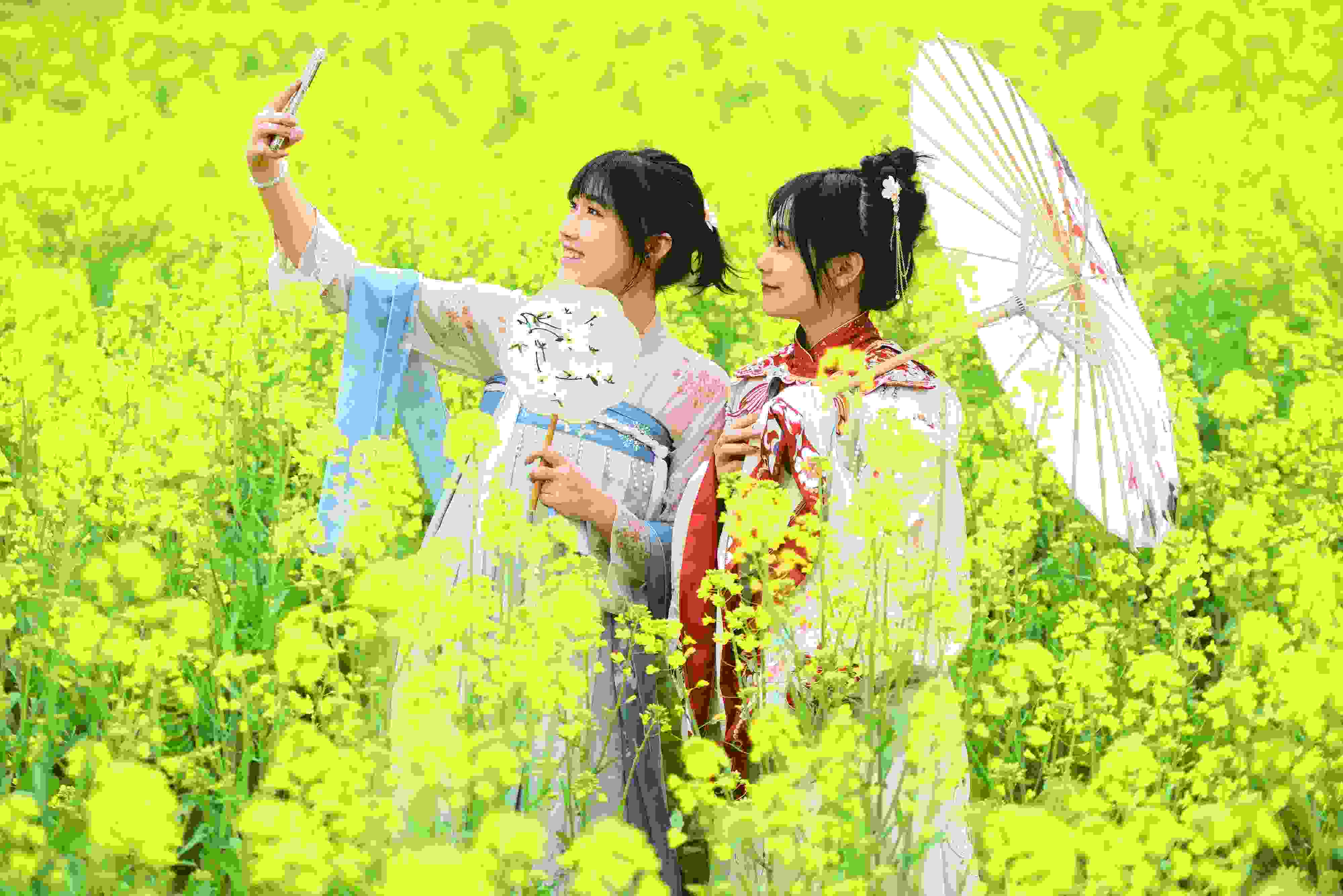 △ 2024年2月16日，廣西賀州，在富川瑤族自治縣麥嶺鎮(zhèn)三民村，游客在油菜花田間賞花拍照。