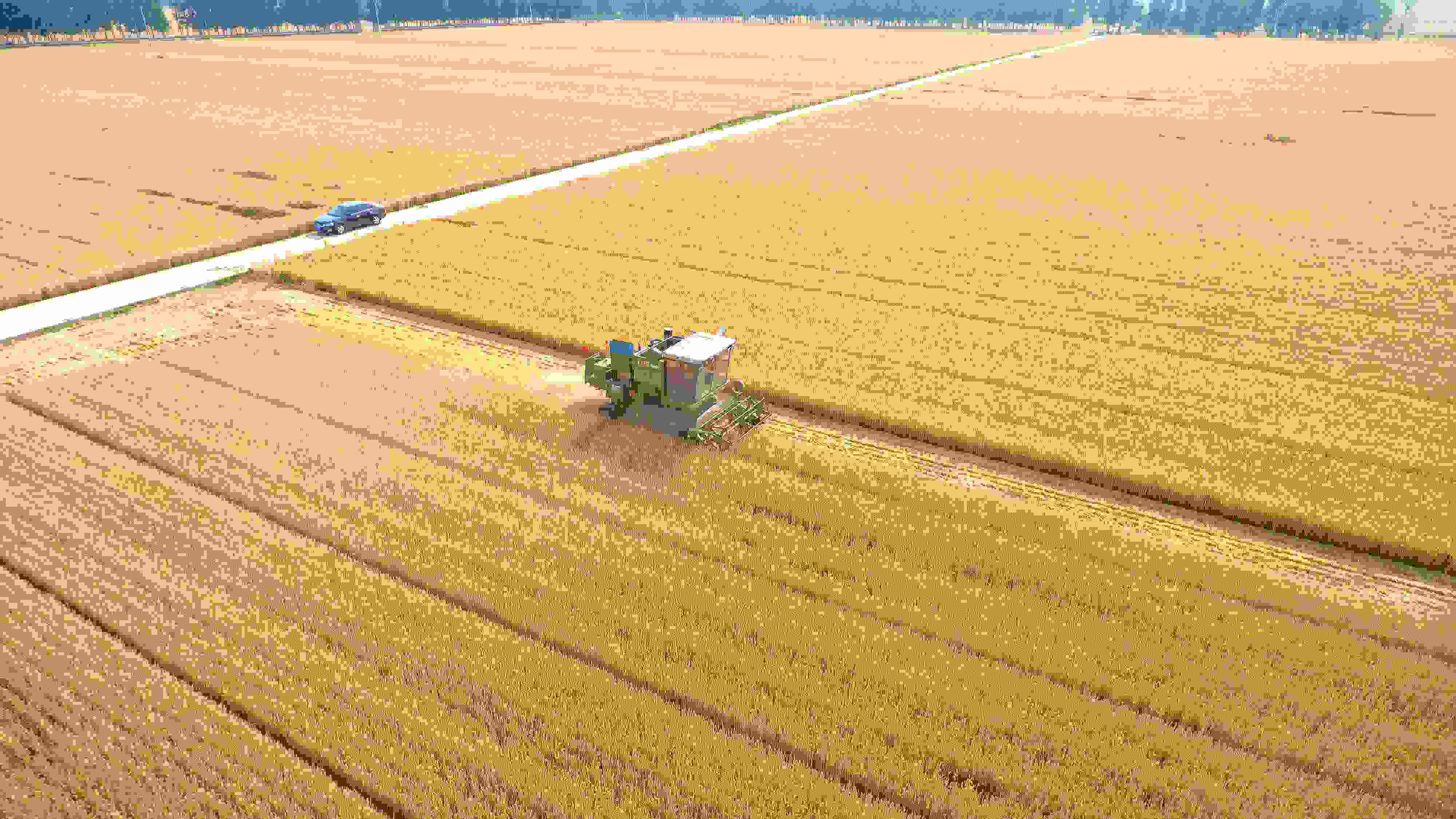 △ 2023年6月5日，山東聊城茌平區(qū)賈寨鎮(zhèn)王藥包村，收割機(jī)在田間進(jìn)行小麥?zhǔn)崭钭鳂I(yè)。