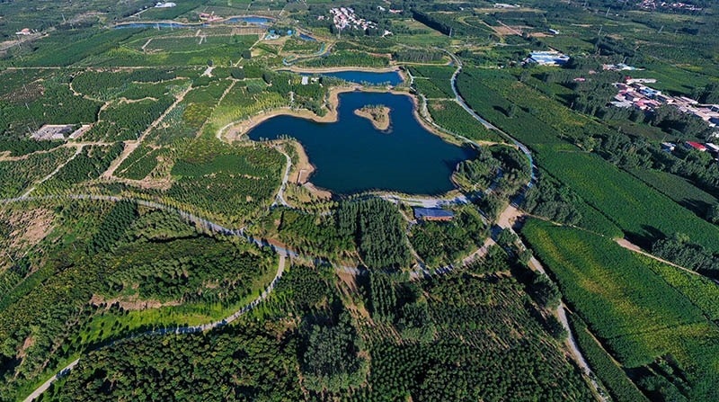 這是2022年9月6日拍攝的雄安新區(qū)“千年秀林”。