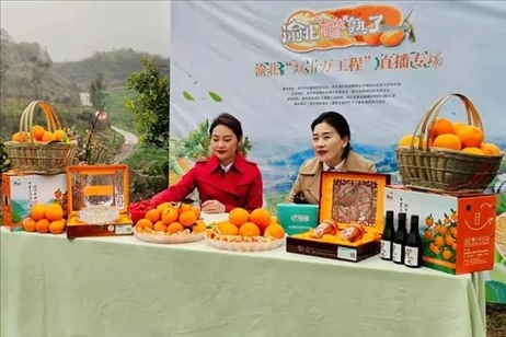 2021年2月26日，在重慶渝北區(qū)大盛鎮(zhèn)青龍村舉辦的直播活動現(xiàn)場。