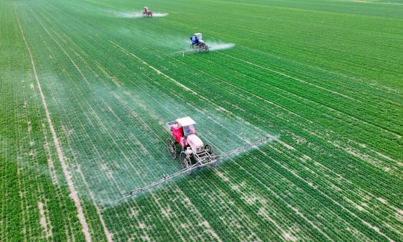 2024年2月18日，安徽省亳州市，利辛縣紀(jì)王場(chǎng)鄉(xiāng)孫老家村麥田，農(nóng)民駕駛自走式高桿噴霧機(jī)對(duì)小麥進(jìn)行噴藥作業(yè)。