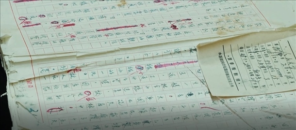 曲波《林海雪原》手稿。主辦方供圖