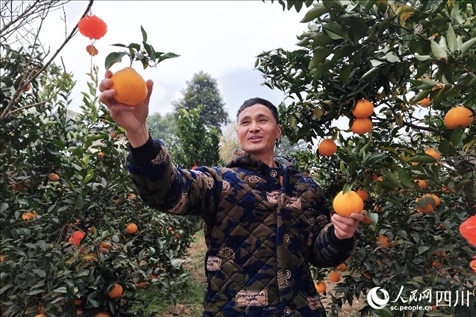 鐵牛村村民趙光進。人民網記者 朱虹攝