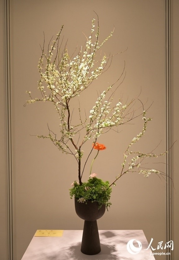 插花作品。人民網(wǎng) 玄番登史江攝