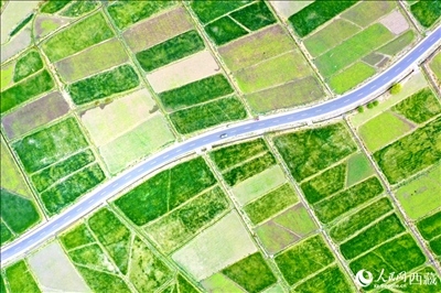 無人機(jī)視角下的西藏山南市瓊結(jié)農(nóng)田。人民網(wǎng)記者 次仁羅布攝