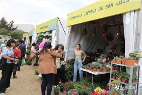 坎波·馬特活動(dòng)現(xiàn)場(chǎng)。埃內(nèi)斯托·多明戈斯攝