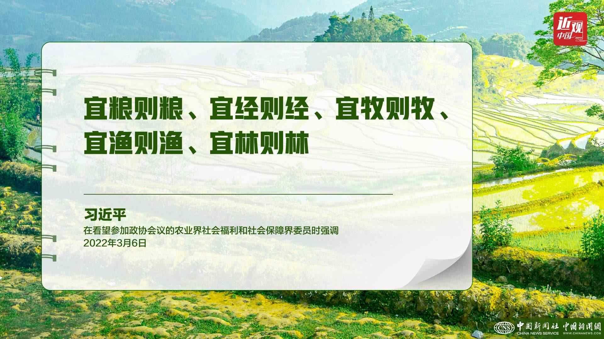 習(xí)近平：樹(shù)立大食物觀，構(gòu)建多元化食物供給體系