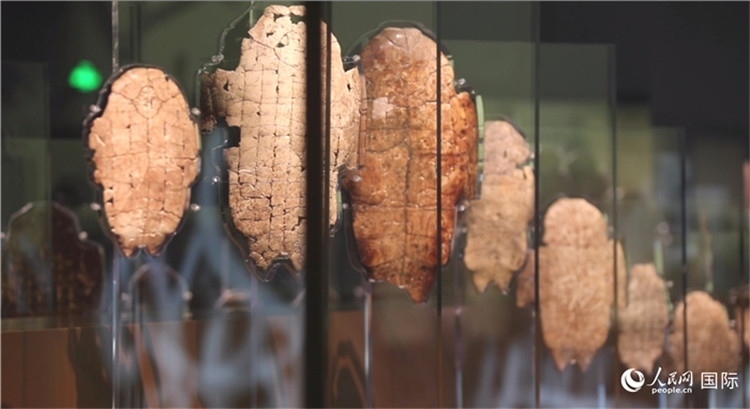 殷墟博物館新館的甲骨展品。人民網(wǎng)記者 劉寧攝