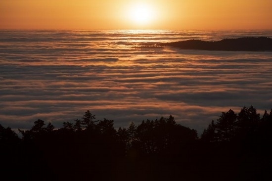 這是5月14日在美國加利福尼亞州馬林縣拍攝的云海。新華社發(fā)（李建國攝）