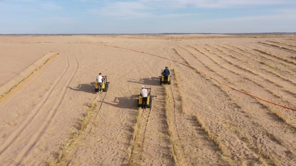 內(nèi)蒙古巴彥淖爾市烏拉特后旗西補(bǔ)隆林業(yè)管護(hù)中心職工駕駛機(jī)械鋪設(shè)壓沙障。新華社記者 李云平 攝