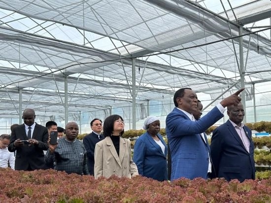 使節(jié)團考察貴州省清鎮(zhèn)駱家橋蔬菜保供基地的無土栽培溫室。新華社記者 袁睿 攝