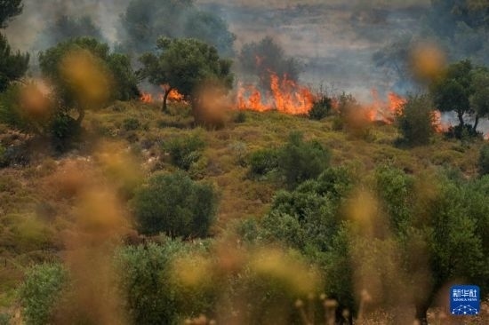 6月12日，以色列北部加利利地區(qū)遭受火箭彈襲擊后冒出滾滾濃煙。新華社發(fā)（阿亞爾·馬戈林攝/基尼圖片社）