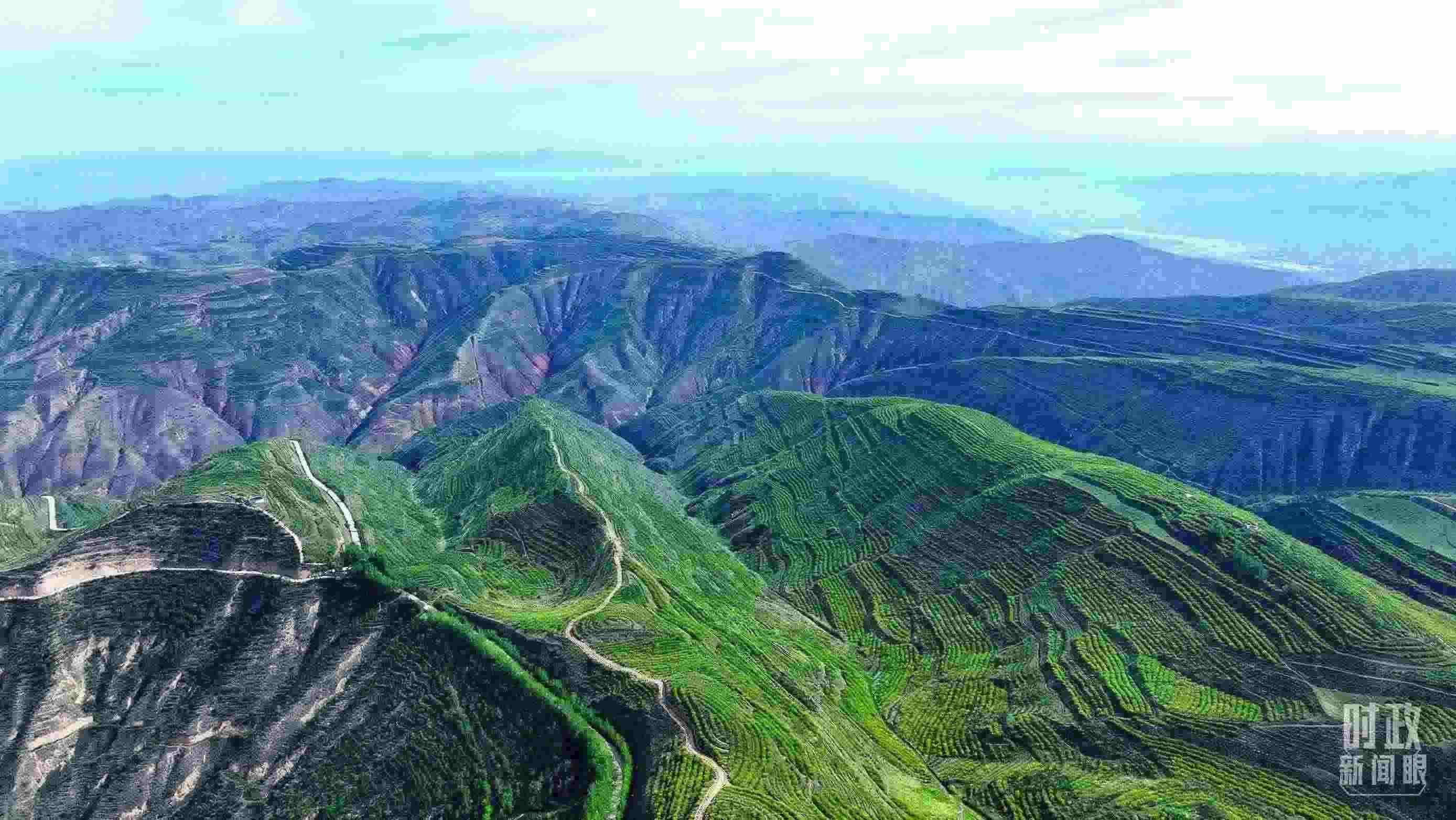 △青海西寧。（總臺(tái)記者柳成拍攝）