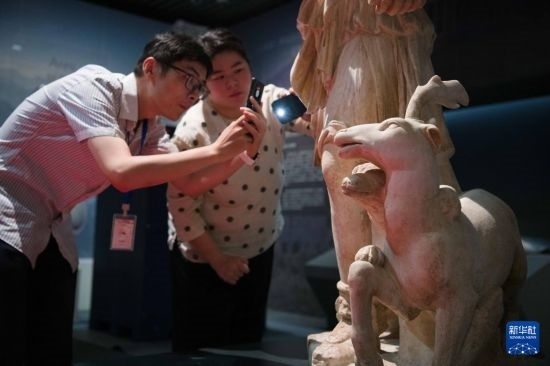 7月2日，安徽博物院工作人員在拍攝開箱后的古希臘文物。新華社記者 張端 攝
