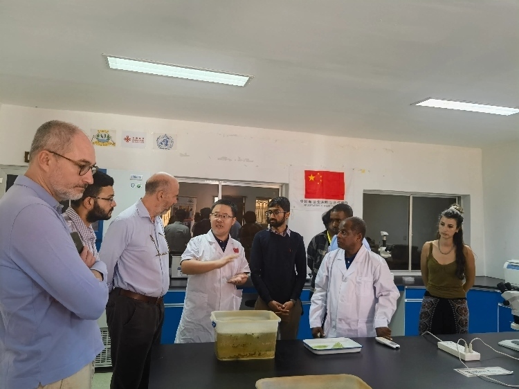 活動現(xiàn)場。專家組供圖