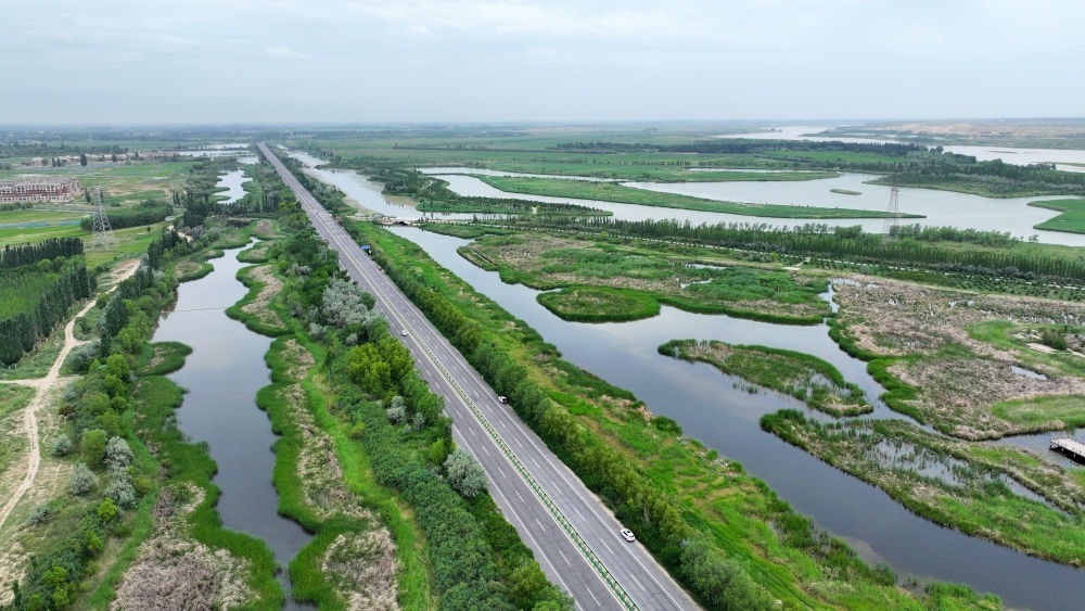 這是2024年6月13日拍攝的黃河寧夏段濱河大道（無人機(jī)照片）。近年來，寧夏努力建設(shè)黃河流域生態(tài)保護(hù)和高質(zhì)量發(fā)展先行區(qū)，全力打好黃河保護(hù)持久戰(zhàn)。新華社記者 王鵬 攝