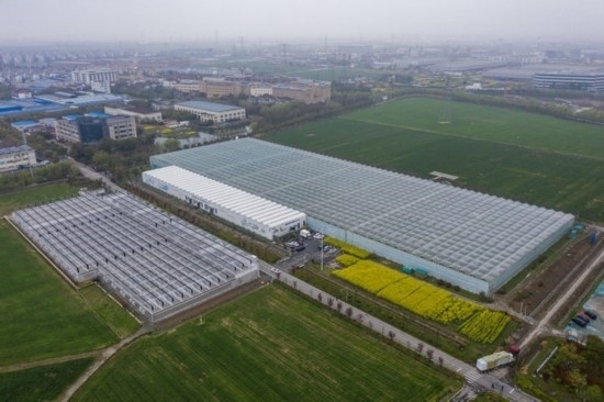 2024年3月28日，空中俯瞰嘉興南湖區(qū)湘家蕩農(nóng)業(yè)數(shù)字化工廠（無(wú)人機(jī)照片）。該農(nóng)業(yè)數(shù)字化工廠占地總面積約62畝，包含智慧農(nóng)業(yè)生產(chǎn)、物聯(lián)網(wǎng)智能管理、自動(dòng)分揀包裝、保鮮儲(chǔ)藏物流、高科技示范展示等五大功能區(qū)，可直接或間接培養(yǎng)帶動(dòng)新型職業(yè)技術(shù)農(nóng)民500人以上。新華社記者 徐昱 攝