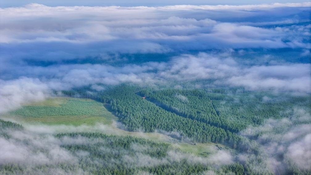 2024年7月26日拍攝的塞罕壩國家級自然保護區(qū)景色。新華社發(fā)（劉滿倉 攝）