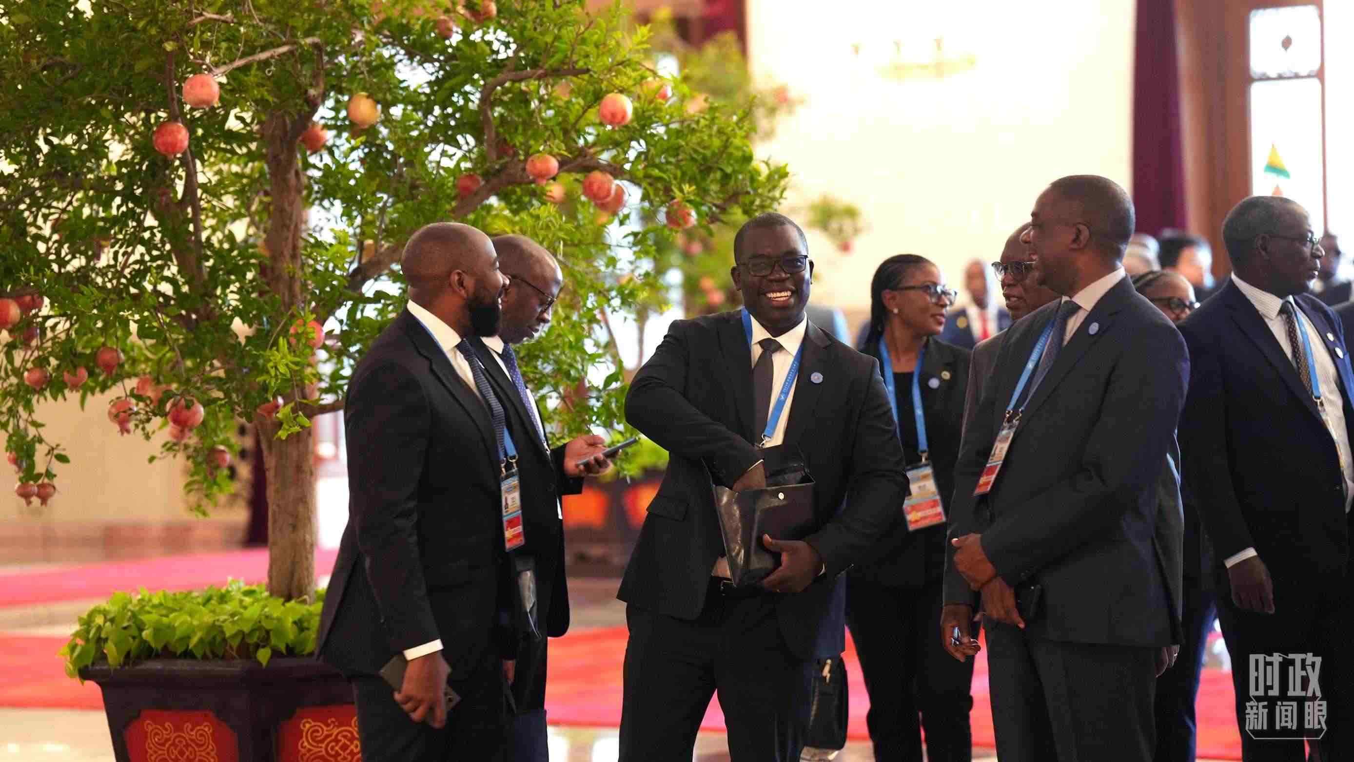 出席中非合作論壇北京峰會(huì)的非洲國(guó)家代表。（總臺(tái)記者李晉拍攝）