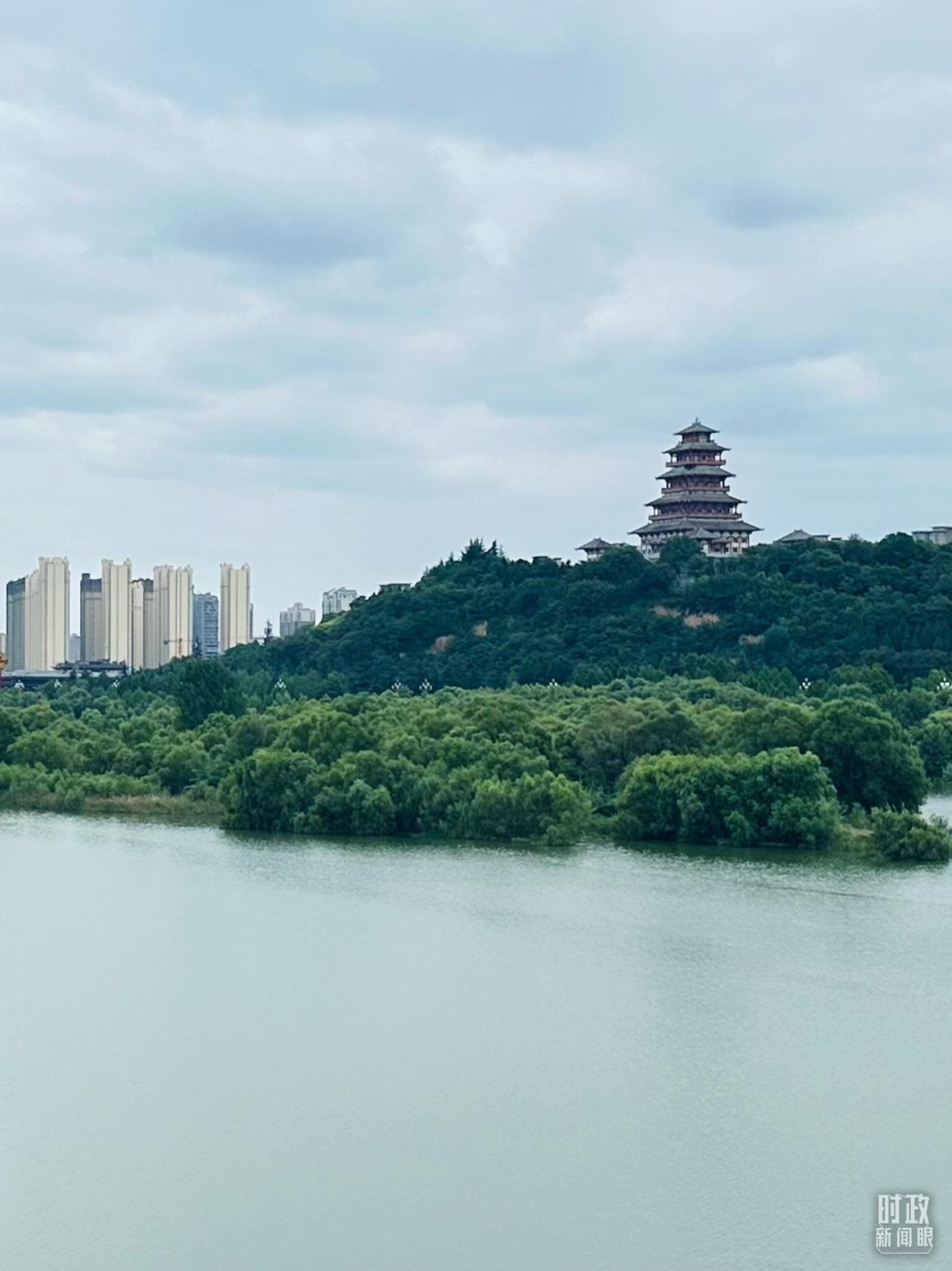 △渭河寶雞段長224公里，目前建成17處渭河灘區(qū)生態(tài)涵養(yǎng)區(qū)。（總臺央視記者范一鳴拍攝）